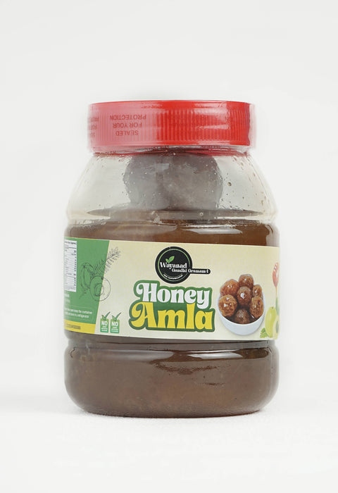 Amla Honey – Immune Power in Every Spoon | Rich in Vitamin C & Antioxidants