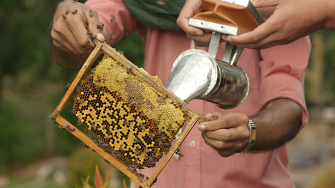 Honey Processing Plant