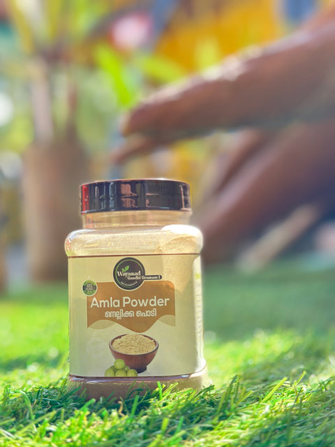 Amla Powder